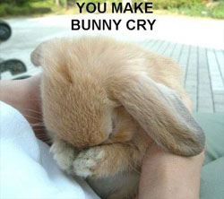 :bunnycry
